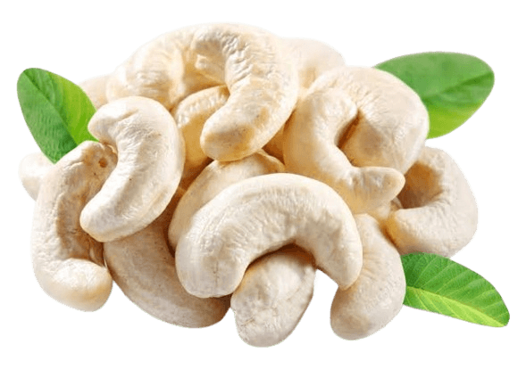 Cashew
